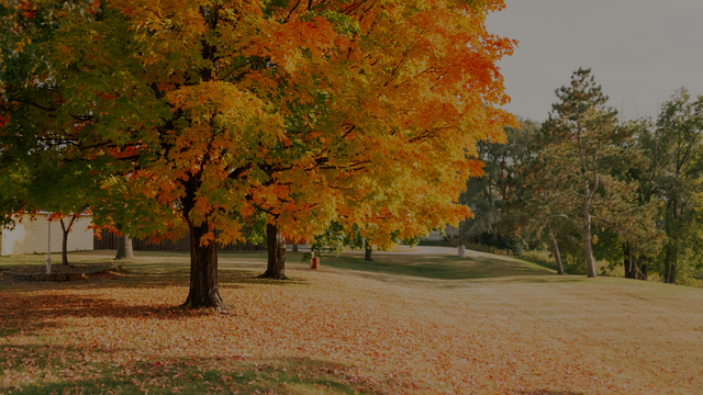 Uitvaartkisten van Eikenhout
